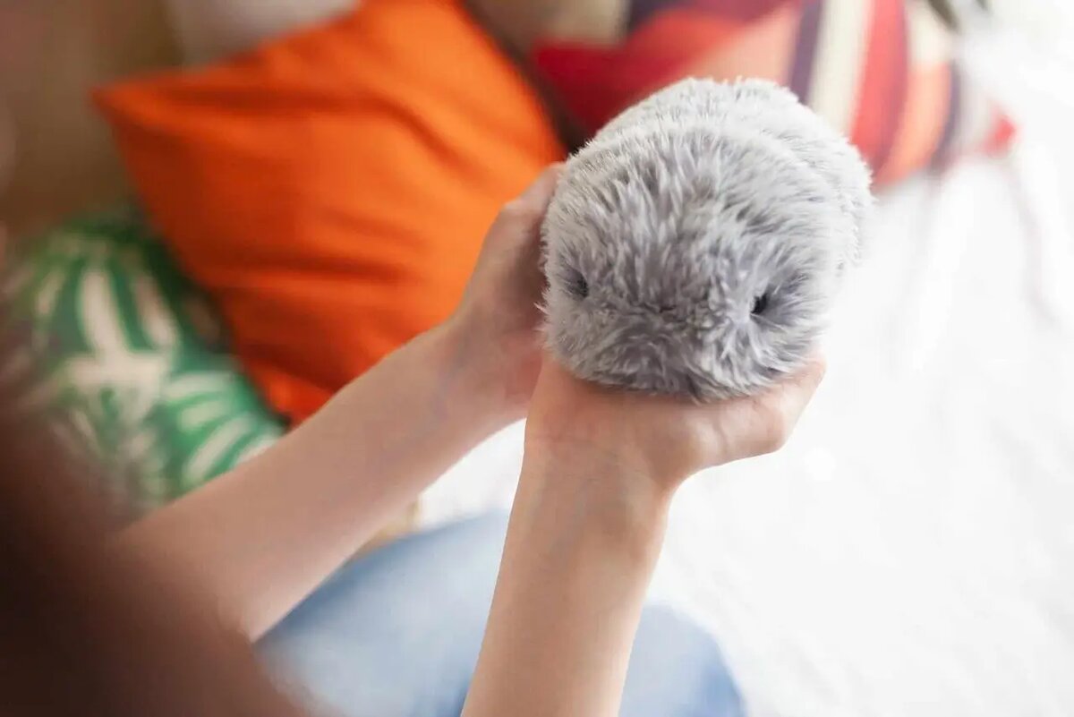    Архитектура ИИ робота позволяет сгенерировать до 4 миллионов вариаций личности /casio