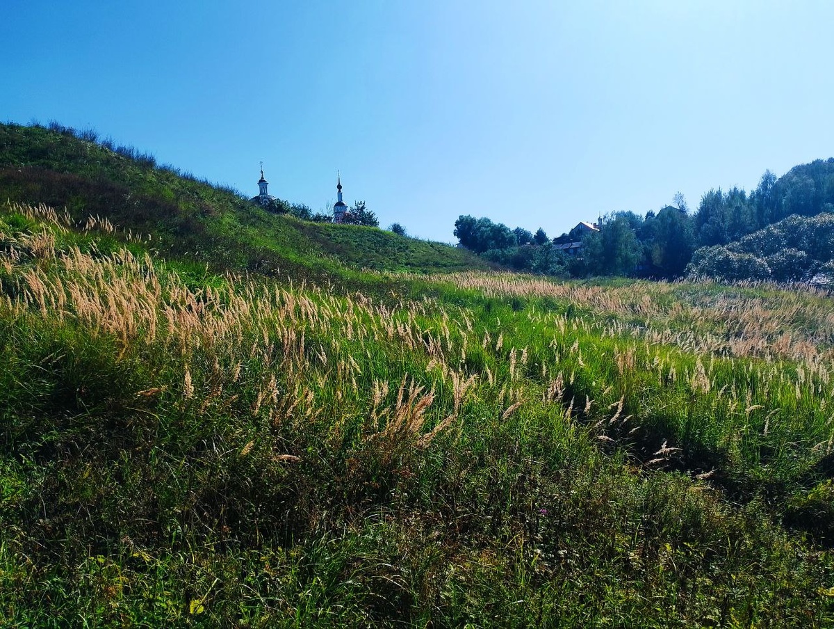 Здесь я упал с холма, а пока падал заметил как здесь красиво.