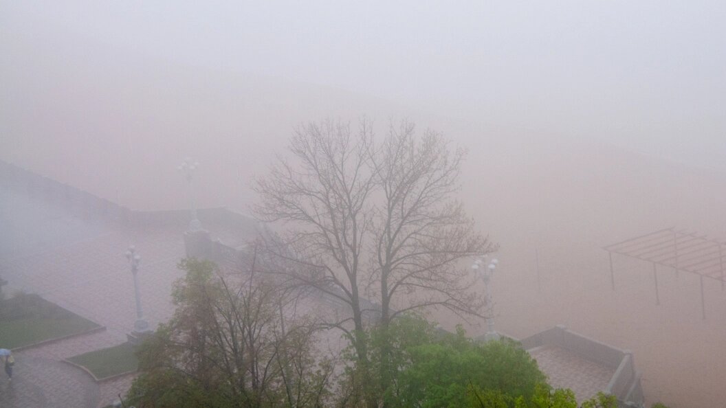    Фото: Svetlana Vozmilova/Globallookpress