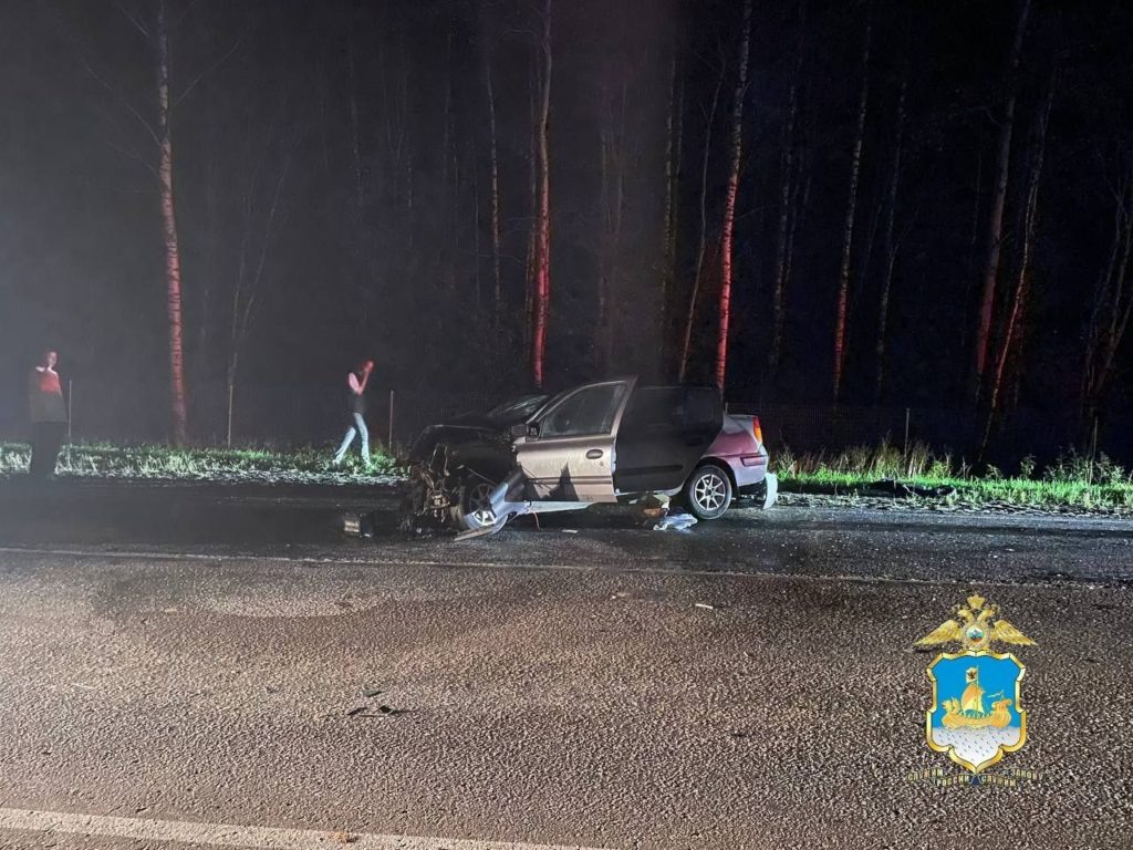    Фото: МВД44