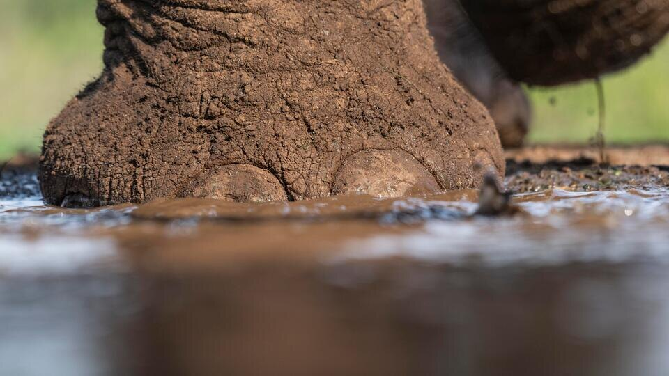 Источник; alamy.com