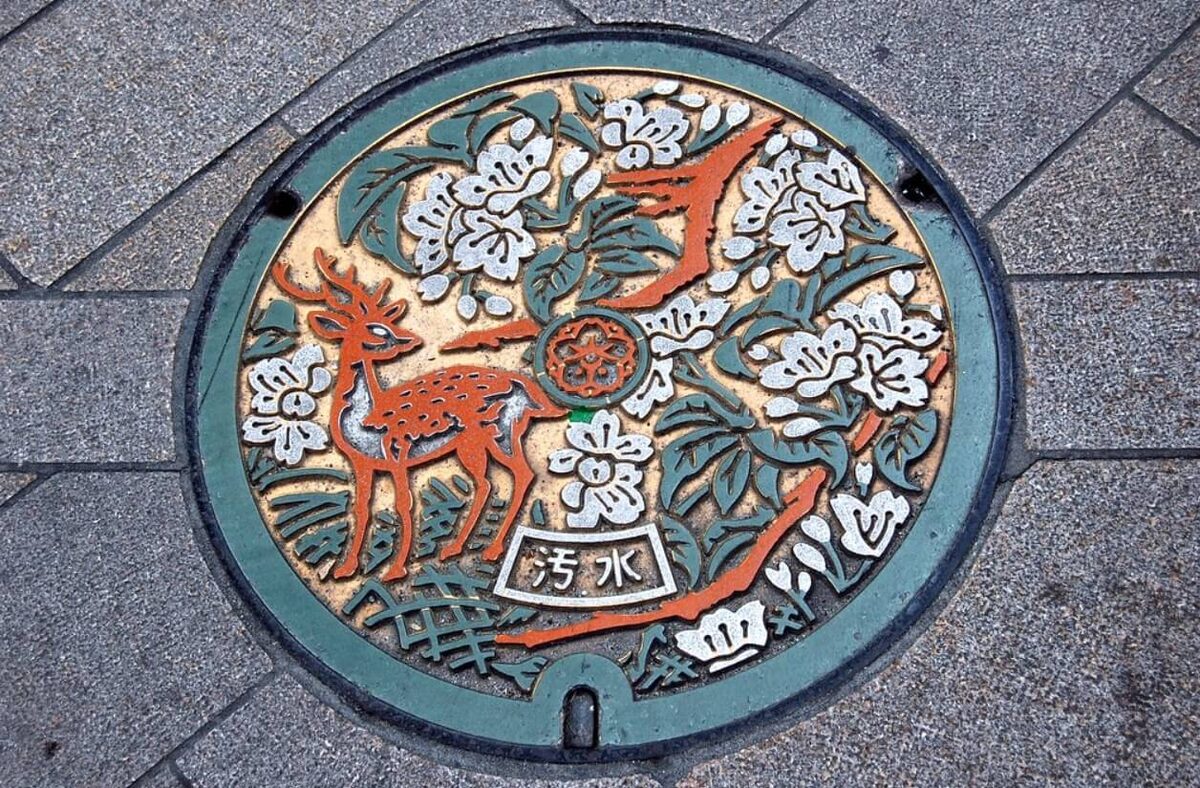    В азиатских странах можно встретить особенно красивые канализационные люки. Источник фотографии: daily.afisha.ru