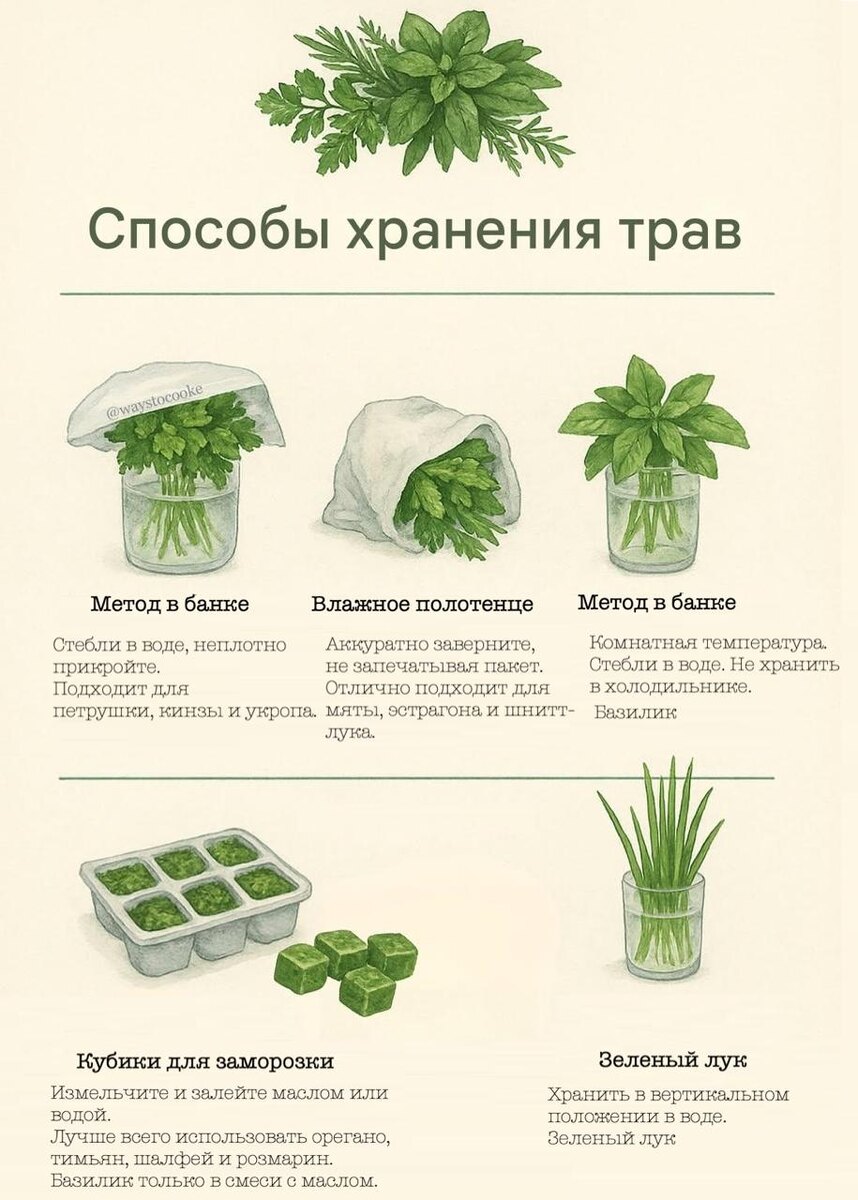 Картинка с телеграм-канала Типичный повар