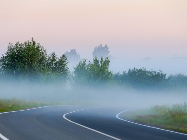    Фото: Москва 24/Лидия Широнина