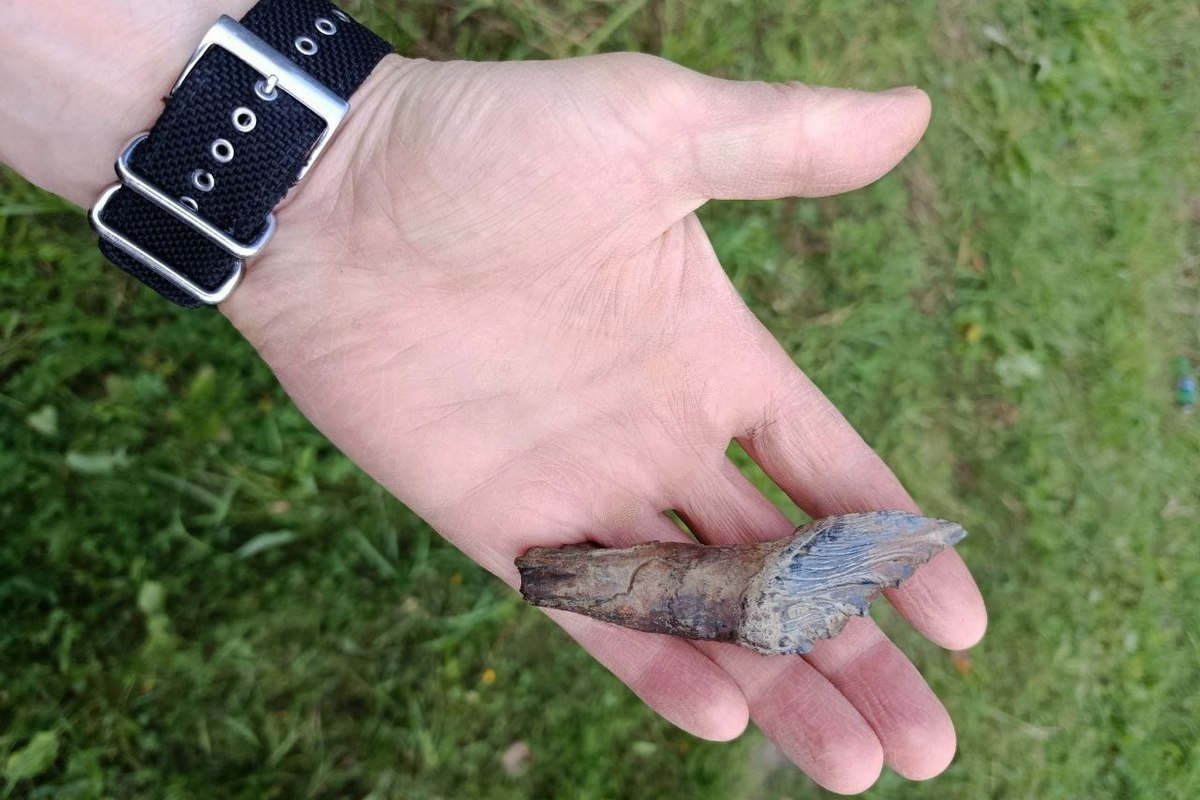    Фото: пресс-служба УрФУ