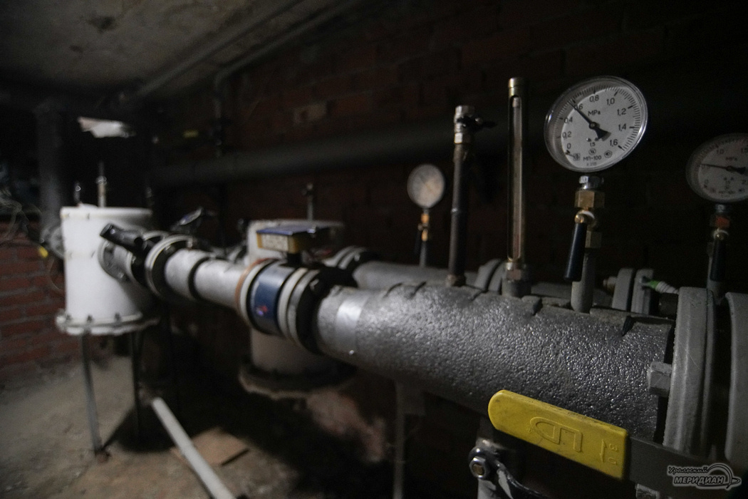    Фото: Лидия Аникина © ИА «Уральский меридиан»