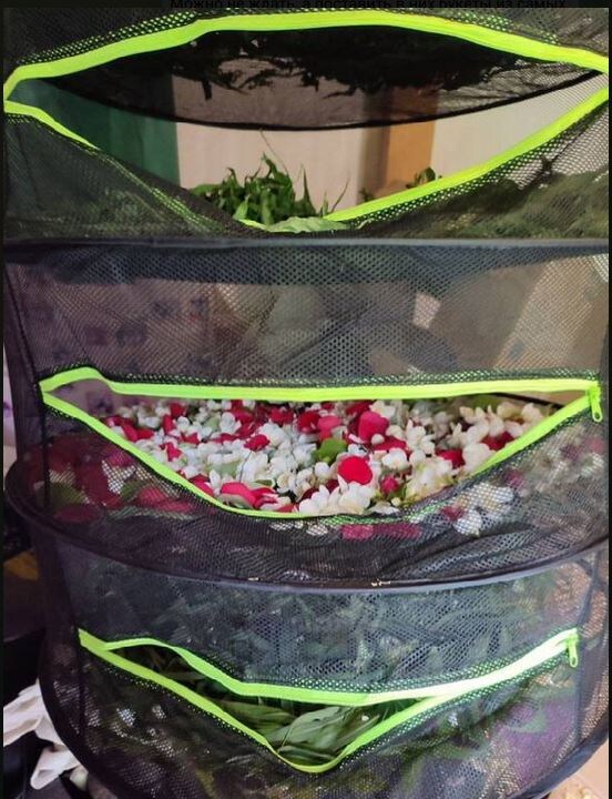 Процесс сушки трав