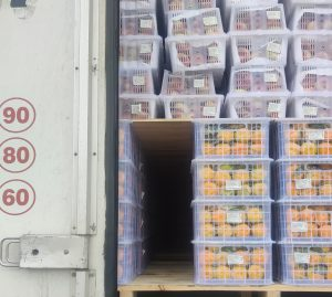 Фото: пресс-служба Уральского межрегионального управления Россельхознадзора