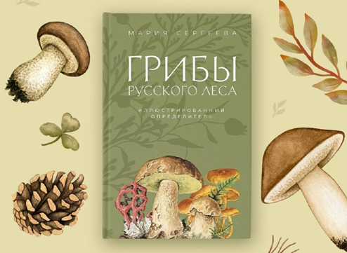 Поздние грибы: рядовки, зеленушка и говорушки