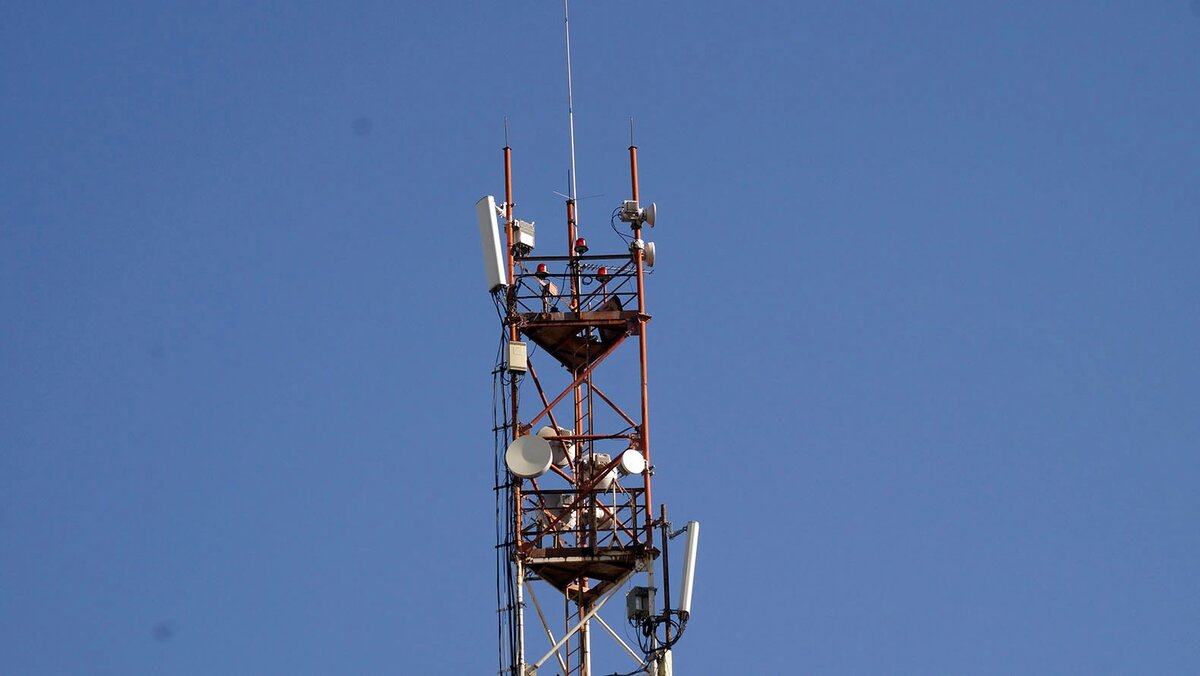    Фото: Сергей Егоров