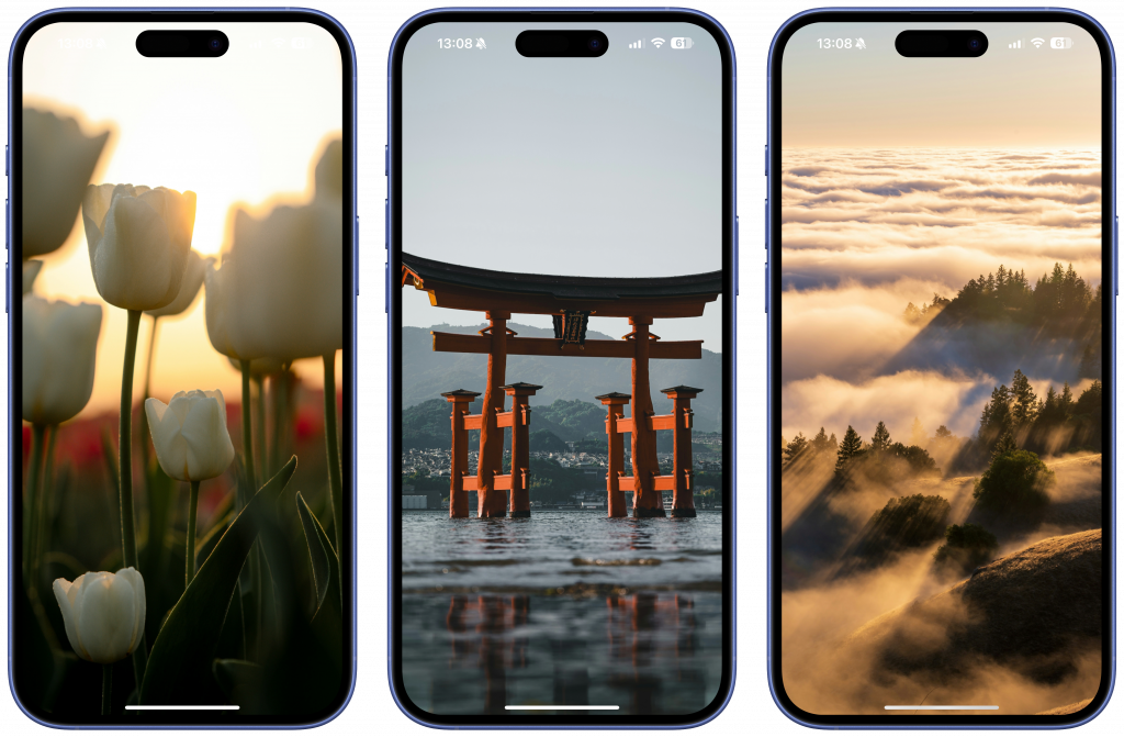    Обои на телефон