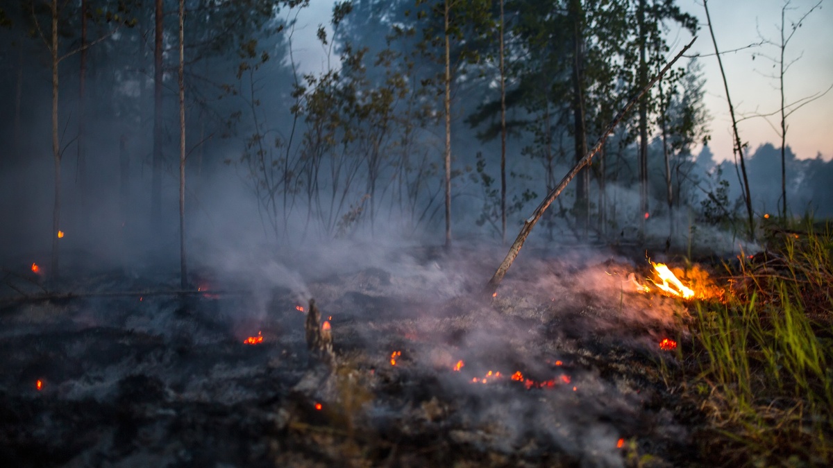    Три лесных пожара ликвидированы в Югре за первую неделю сентября
