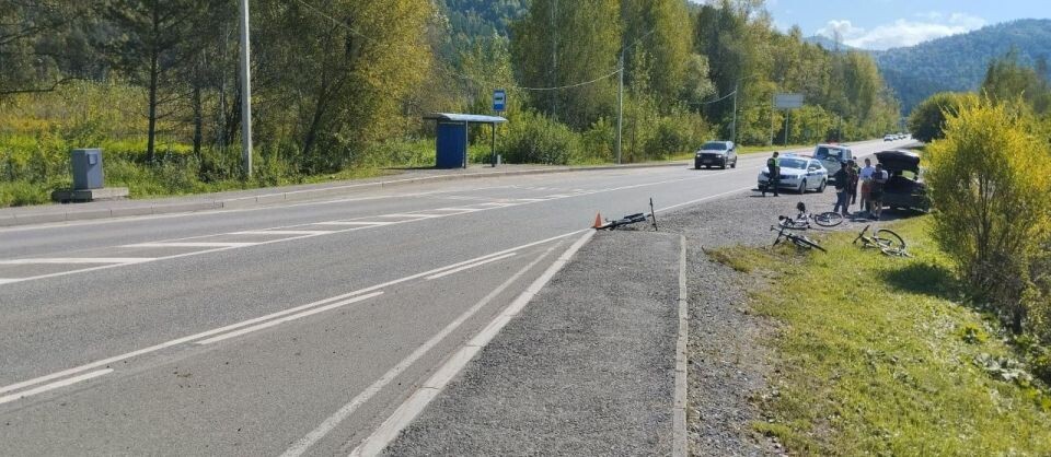    ДТП с велосипедом на Алтае. Источник: ГИБДД Республики Алтай