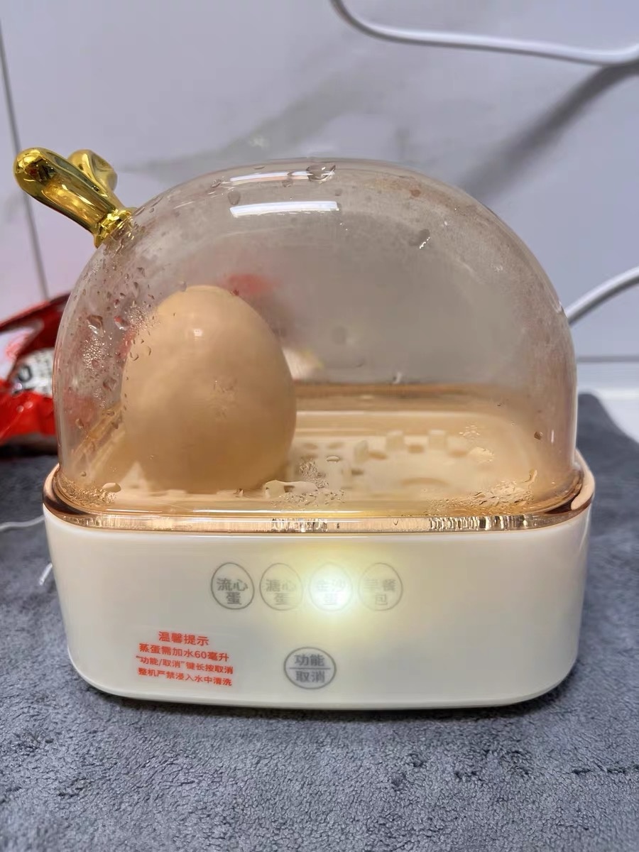 Моя яйцеварка