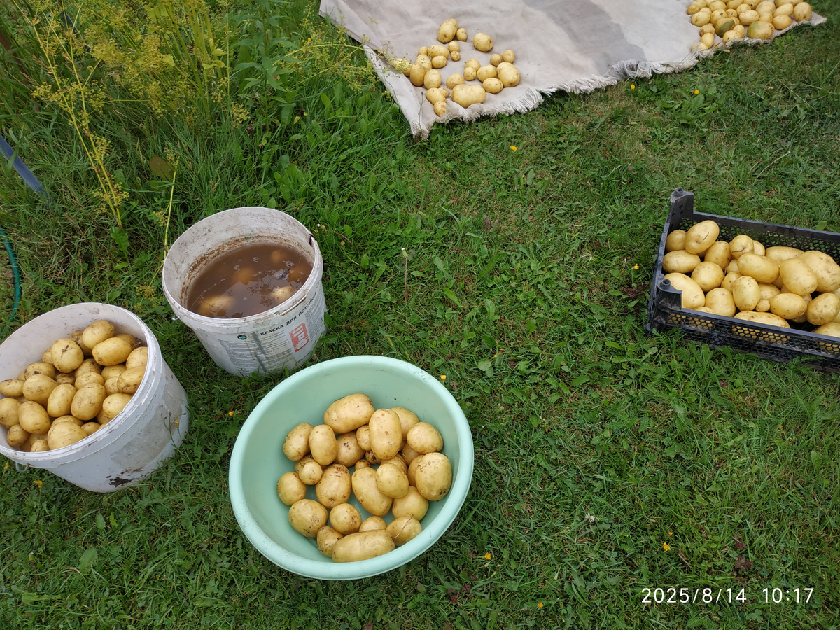 Мои приспособления для мытья картофеля