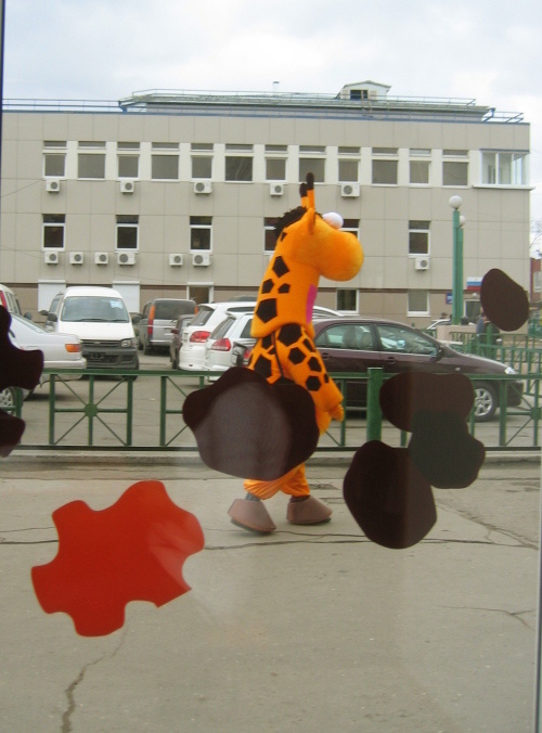 вид на здание БТИ из окна