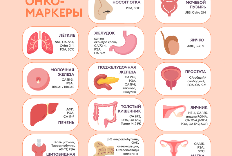 Врач объяснил, какие анализы показывают ранний рак