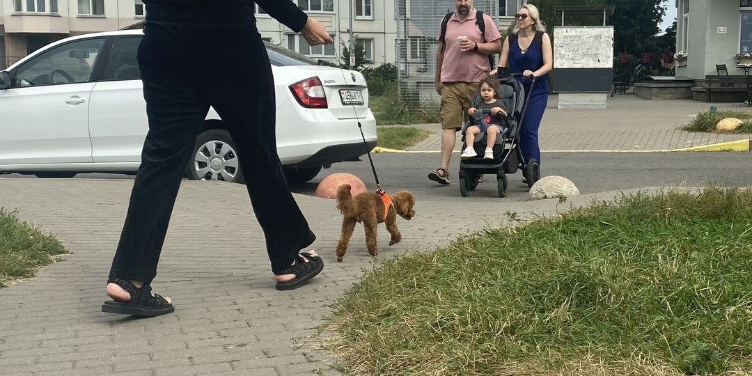Зашла в магазин с собакой – выгнали и пригрозили милицией. А бомж стоял и смотрел.