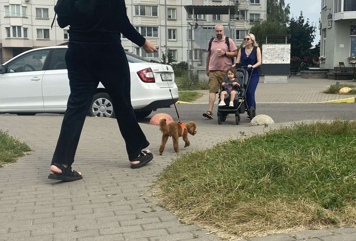 Та самая собачка.