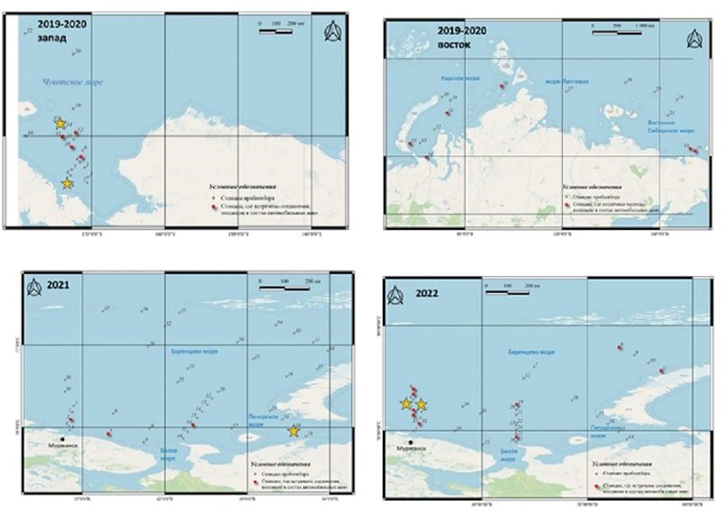     Карта точек пробоотбора: черным цветом обозначены станции, содержащие микропластик; красным цветом — станции, содержащие частицы шин и дорог, желтой звездой — станции с наибольшей представленностью частиц шин и дорог (2019-2020 гг. – станции 9 и 15; 2021г – станция 18; 2022г. – станции 2 и 3) / © Предоставлено Еленой Мазловой