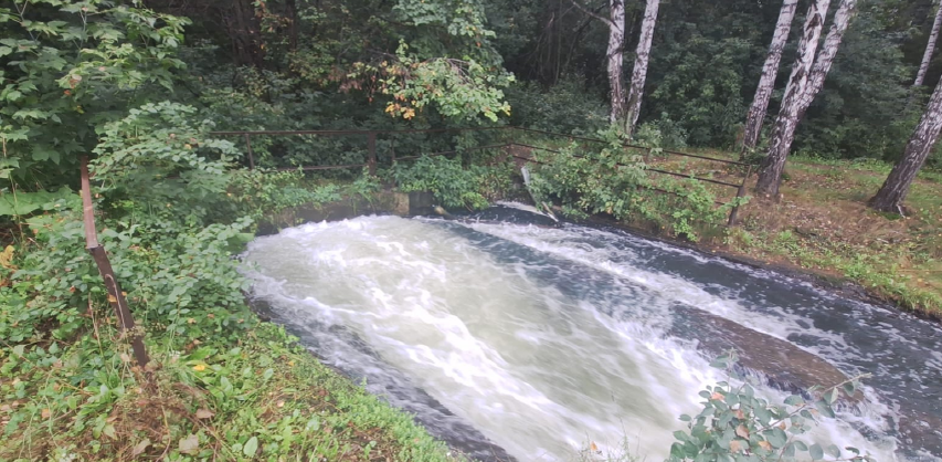 Фото: Уральское управление Росприроднадзора