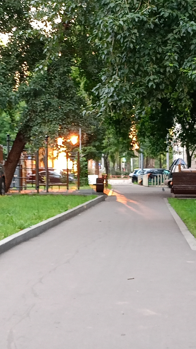 Фото автора. 