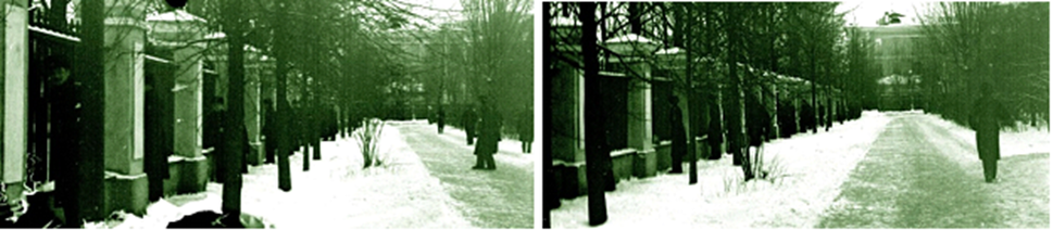 Карантинный забор.