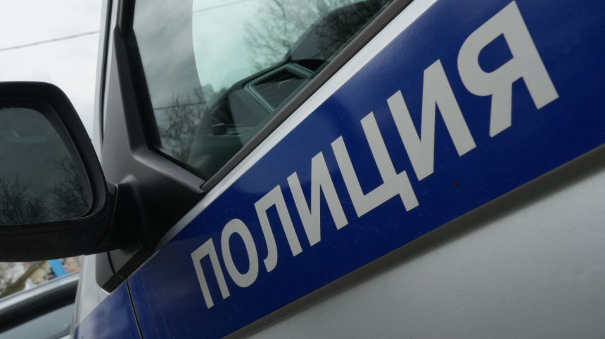    Фото: ИЗВЕСТИЯ/Дмитрий Коротаев; 5-tv.ru