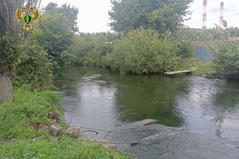    Прокуратура