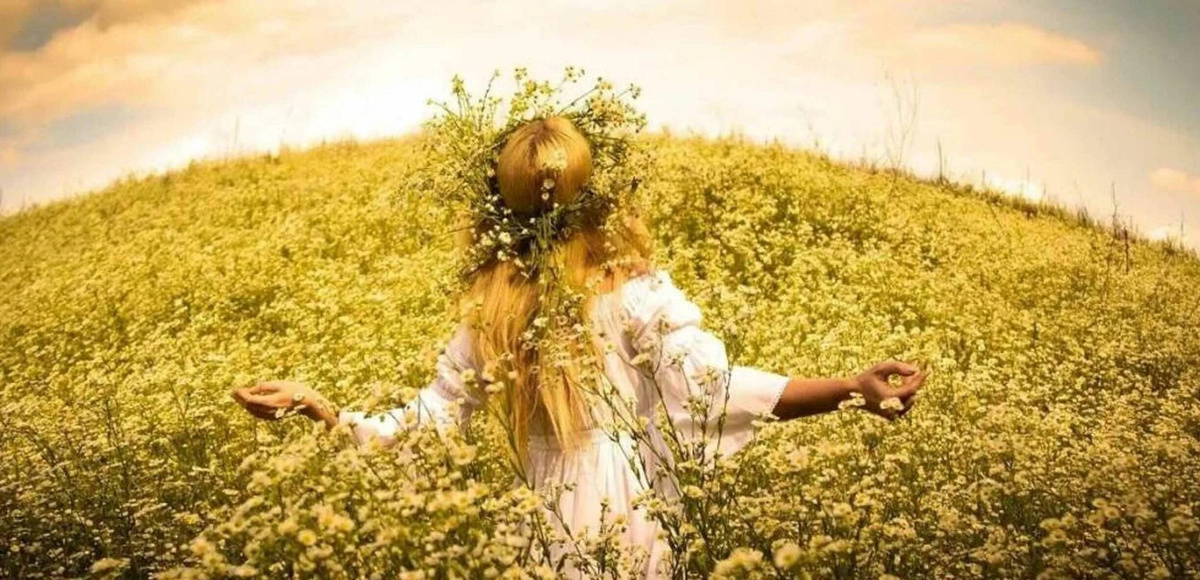 Изображение из открытых источников