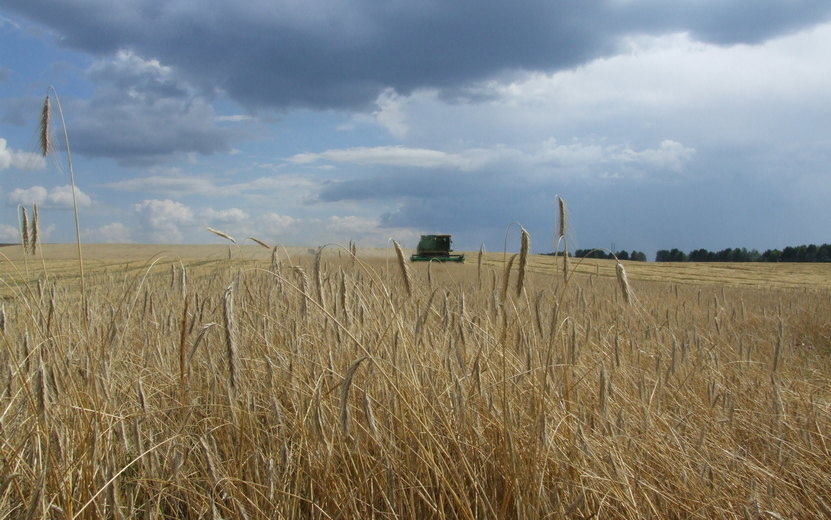    Режим ЧС ввели из-за переувлажнения почвы в Удмуртии