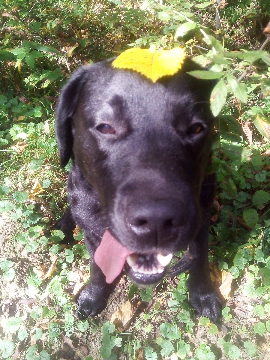 Фото автора.