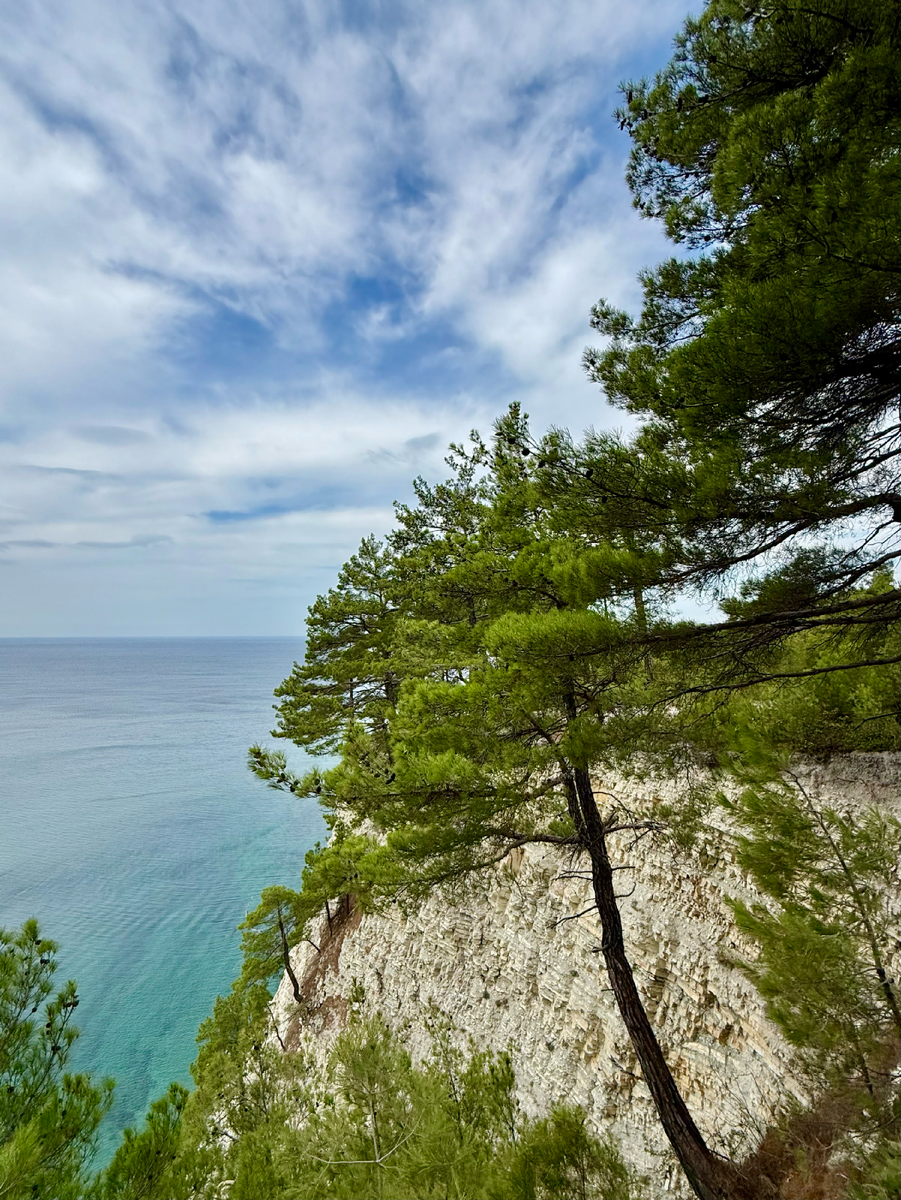 Шикарный вид