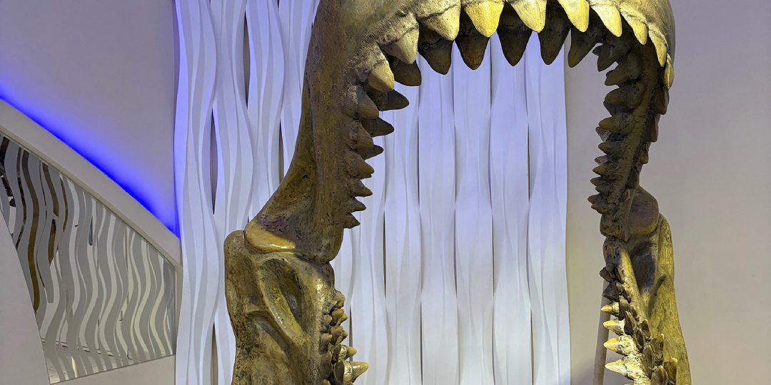 Океанариум в Санкт-Петербурге.