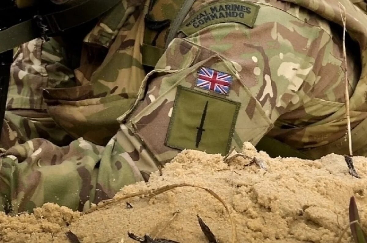    Офицер ВС Британии признался в сексуальном насилии над солдатом