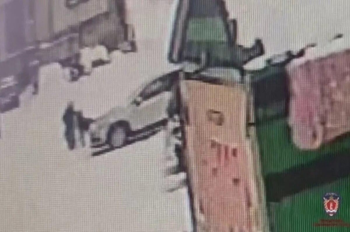    В пользу покусанной ротвейлером девочки с хозяина пса взыскали 50 тысяч