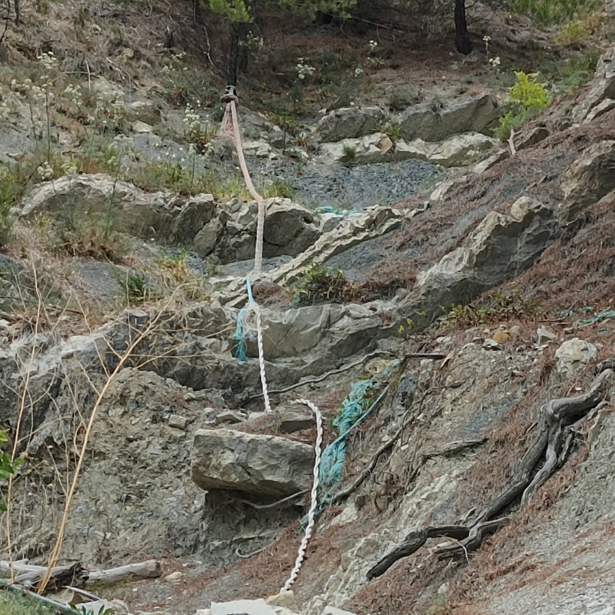 Осторожно поднимаемся по канатам на смотровую площадку.