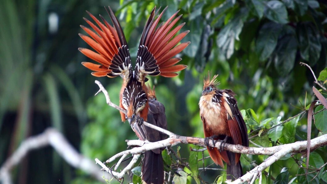    Фото: Anna Ponomareva/Globallookpress