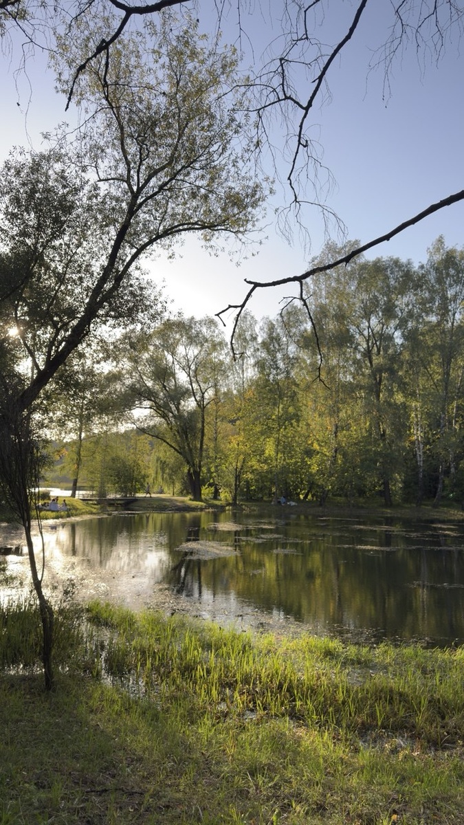 Пруд на территории парка