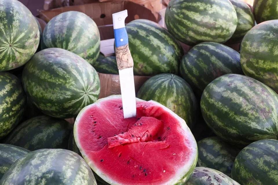    Фото: Дмитрий Рогулин / "Городские вести"