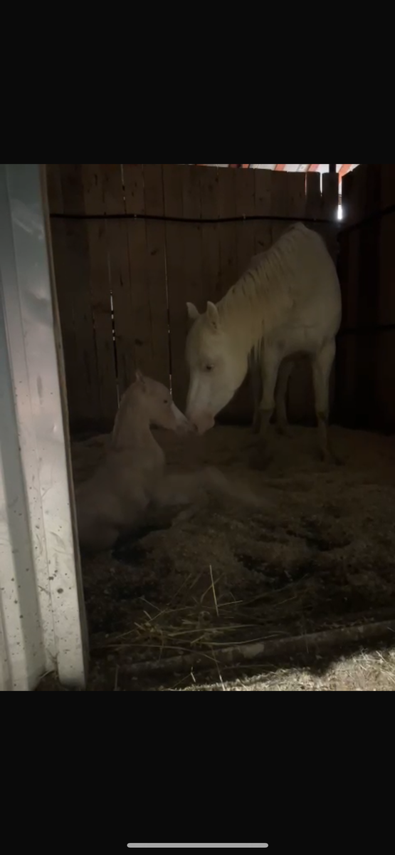 Первые попытки встать на ноги) 
