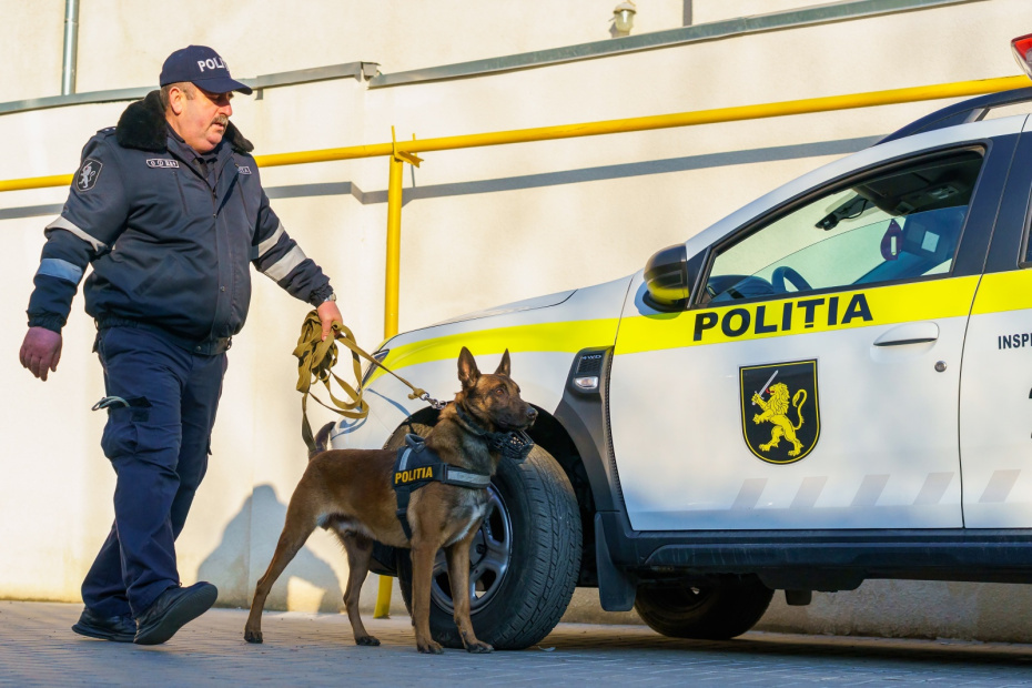    Shutterstock/FOTODOM