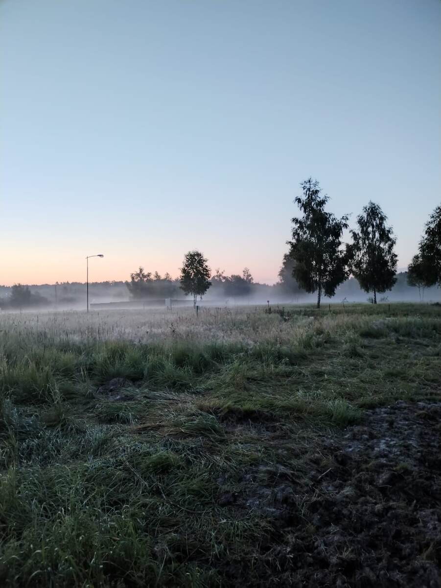 Вот такой вид из нашего домика 