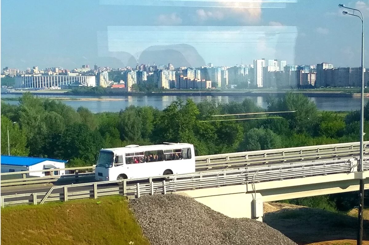    Против человейников.