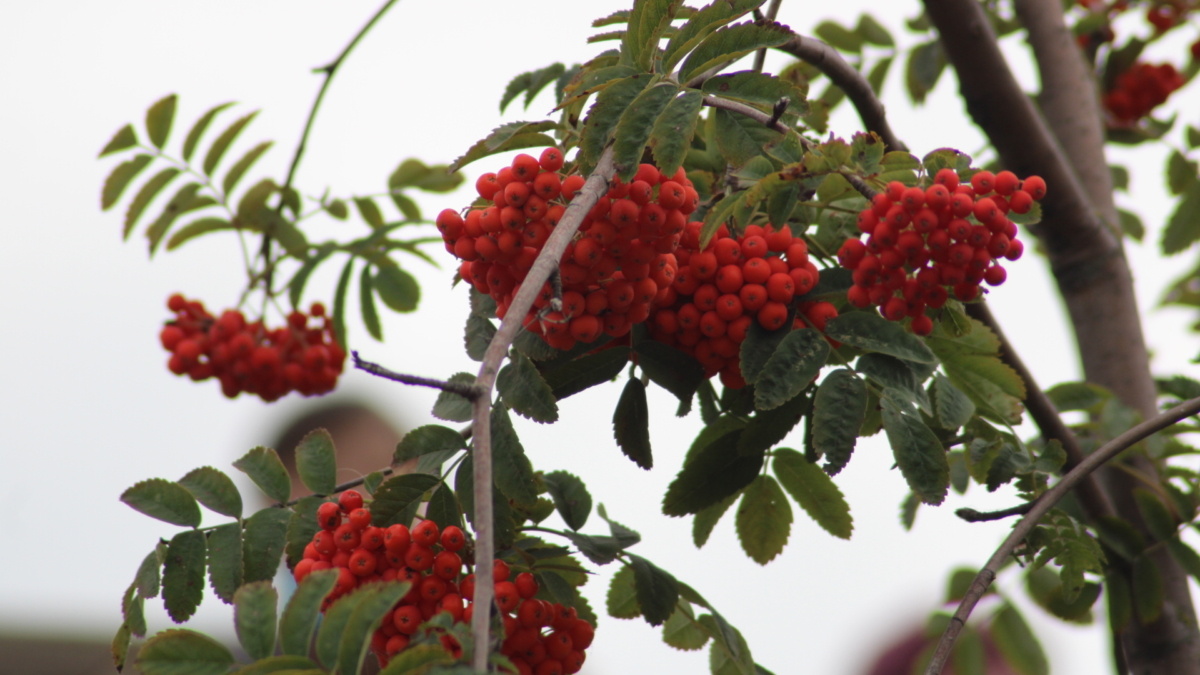 ИА «Тульская пресса»📷
