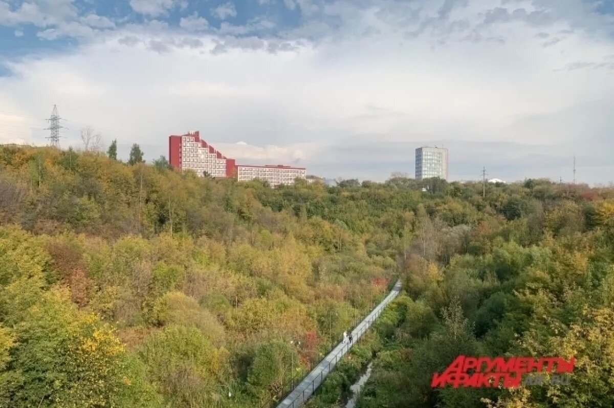    В минимущества рассказали подробности застройки Разгуляя в Перми