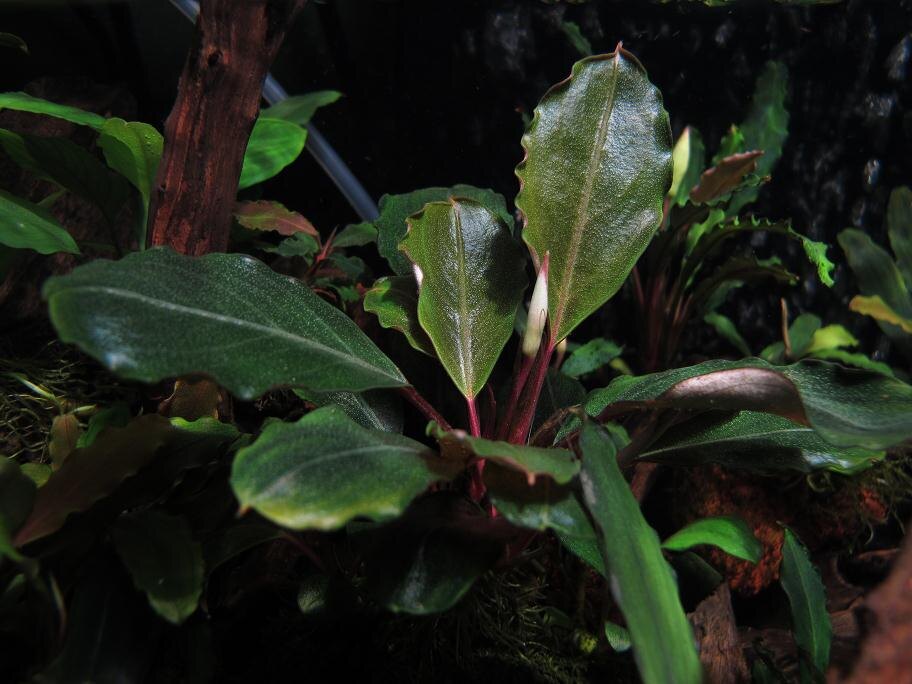 Фото Константина Пахомова 