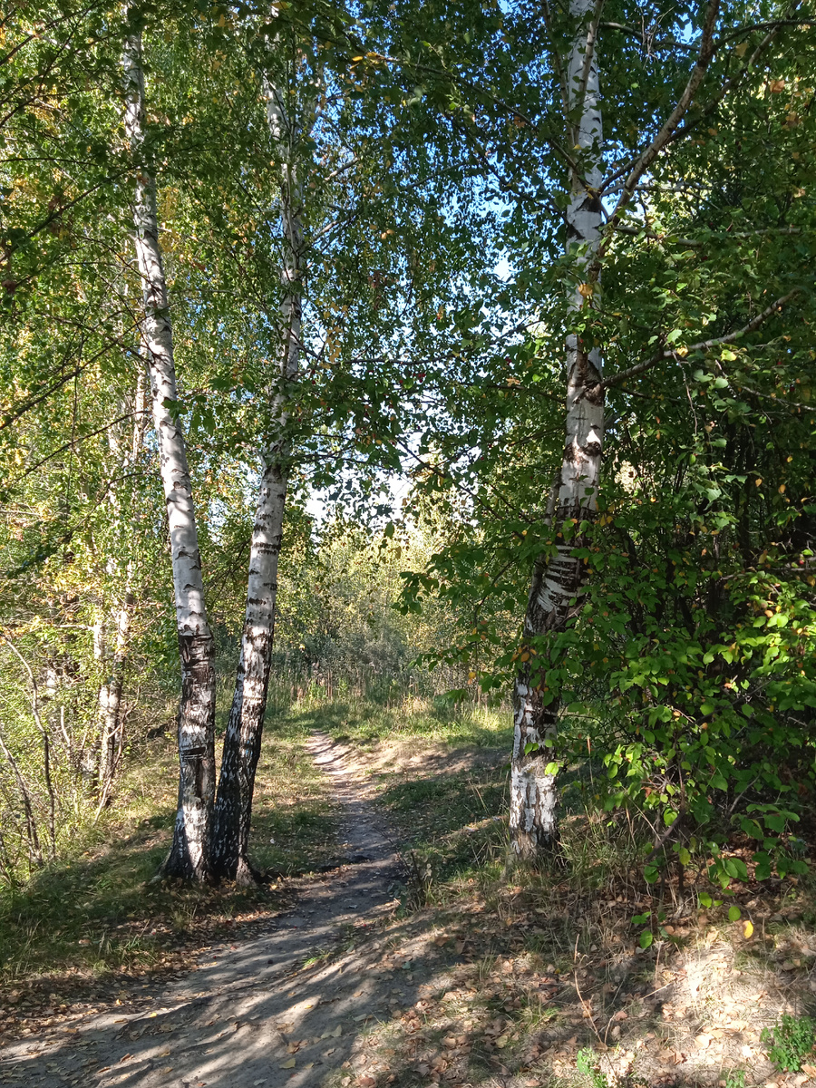 Начало осени