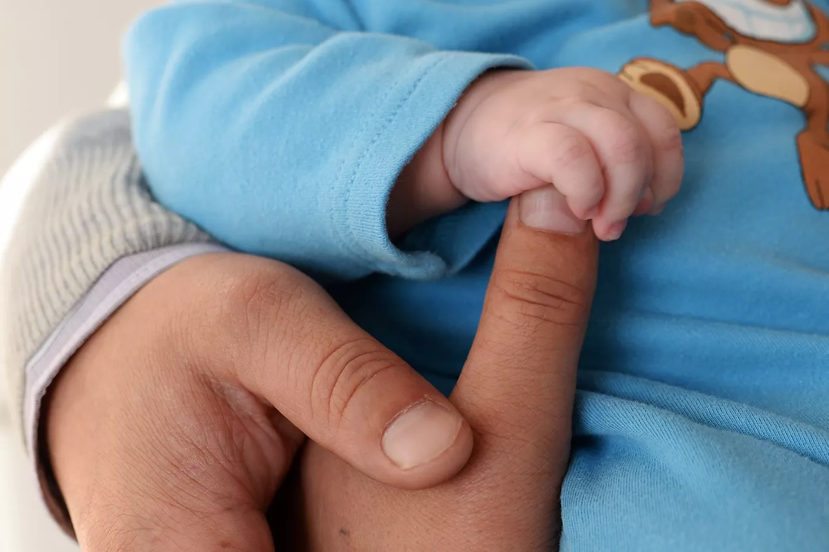 © Sputnik / Владимир Песня 