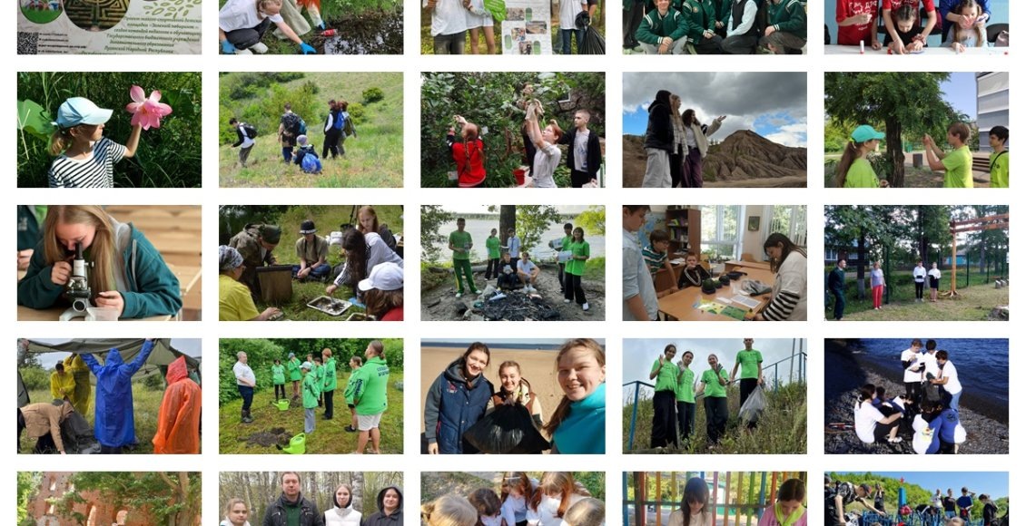    Фото: участники ДЭФ-2024 / Фонд "Компас"